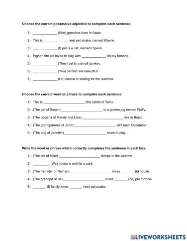 Possessives Homework 1