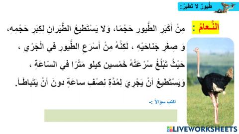 عالم الطيران