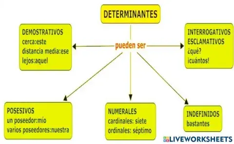 Los determinantes