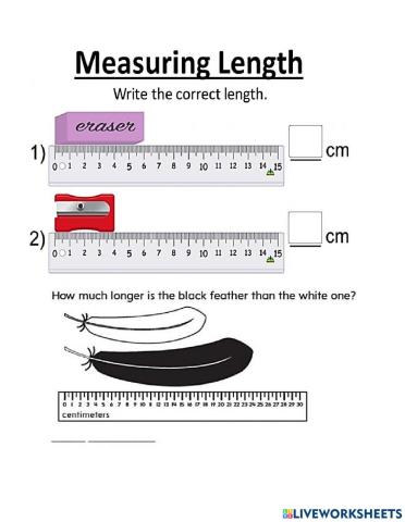 Compare Length Using Metric Units.