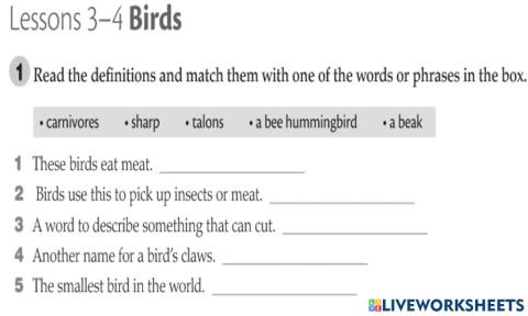 Lesson 3-4: birds