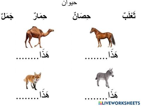 Animal Vocab Practice Arabic Language