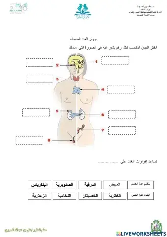 جهاز الغدد الصماء