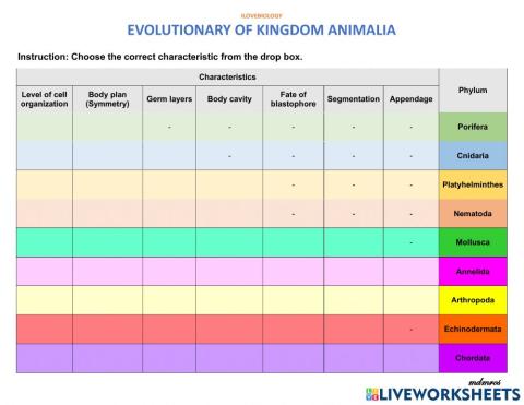 Evolutionary of Kingdom Animalia
