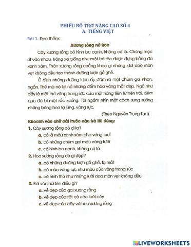 Phiếu nâng cao bổ trợ số 4