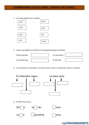 Prefijos, campo léxico, grupo nominal y pronombres.