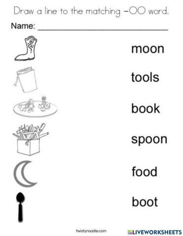Special Sound -oo- Worksheet