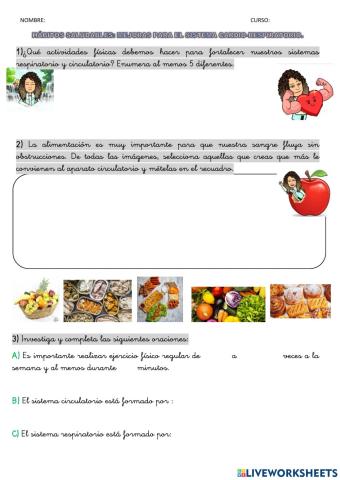 Sistema cardio-respiratorio