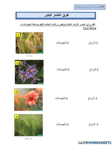 طرق انتشار البذور
