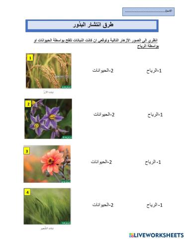 طرق انتشار البذور