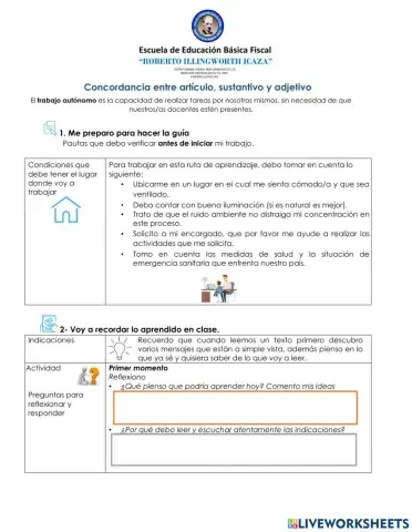 Concordancia  del artículo - sustantivo y adjetivo