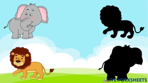 Animales y su sombra