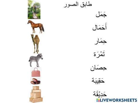 Arabic vocab