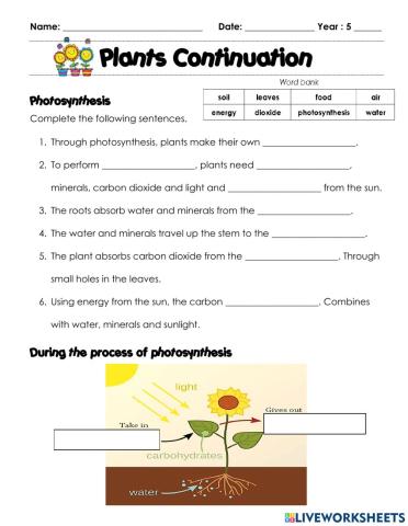 Plants Continuation