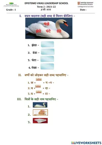 अं मात्रा