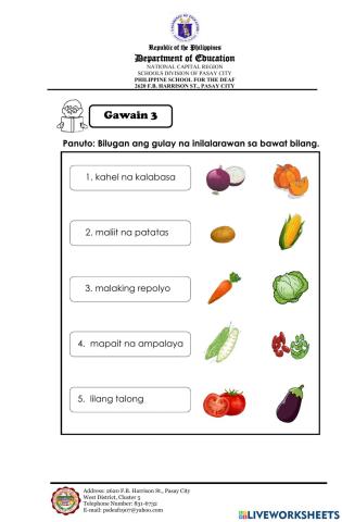 Paglalarawan ng karaniwang Gulay