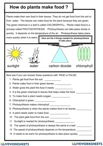 How do plants make food ?