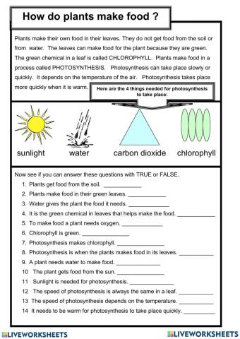 How do plants make food ?