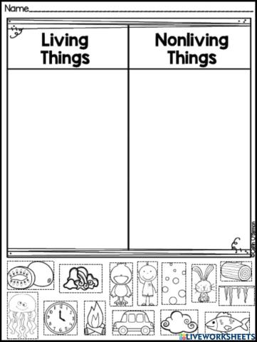 Living and non-living things