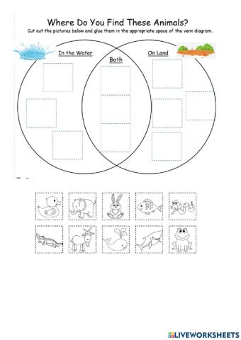 Land or water animals