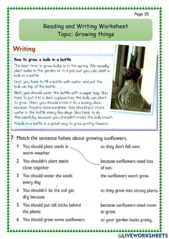 R&W 4 Growing things Part 2