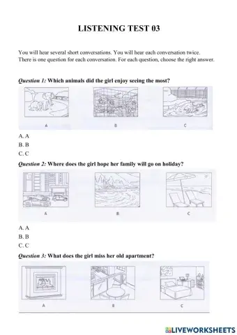 Grade 6 PET Listening 03