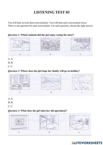 Grade 6 PET Listening 03