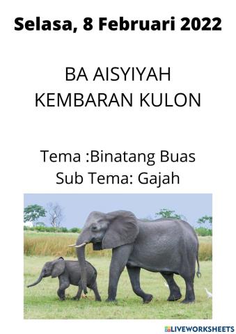 Ba aisyiyah kembaran kulon