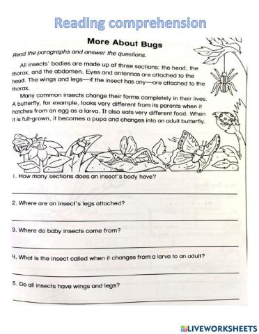 Reading comprehension bugs