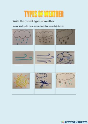 Types of the weather