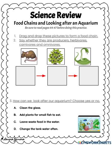 Science Review - Food Chains