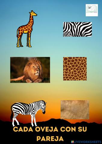 Cada oveja con su pareja