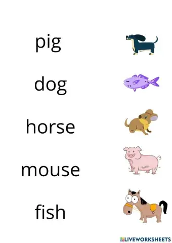 Animals, Colours, Numbers