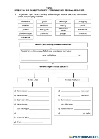 Kesihatan diri dan reproduktif : perkembangan seksual sekunder