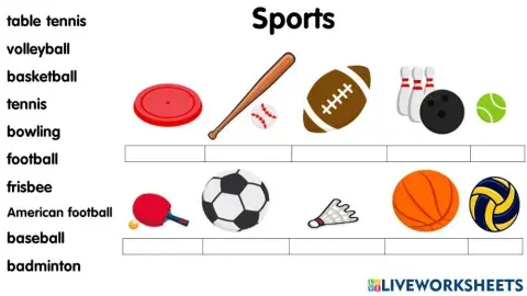 Sports Equipment