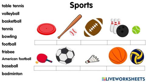 Sports Equipment