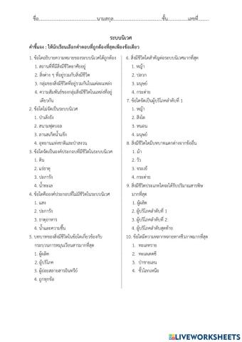 วิทยาศาสตร์