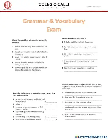 Grammar and Vocabulary Exam Last term
