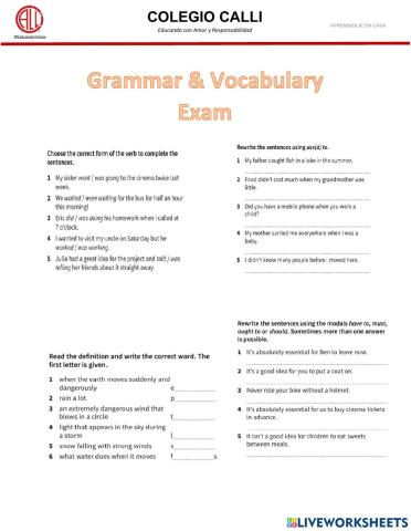 Grammar and Vocabulary Exam Last term