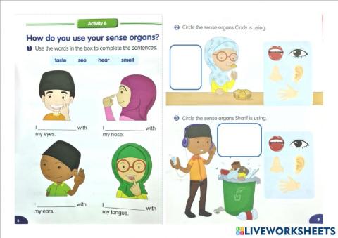 Sense organs