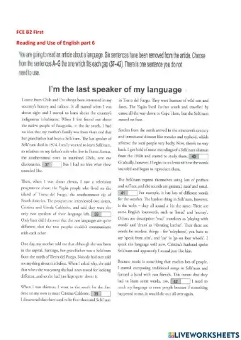 Reading part 6 practice 3