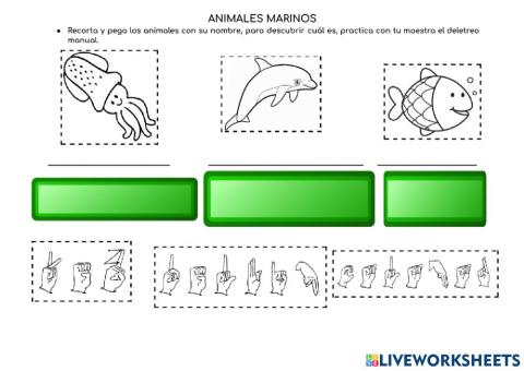 Animales marinos lsm