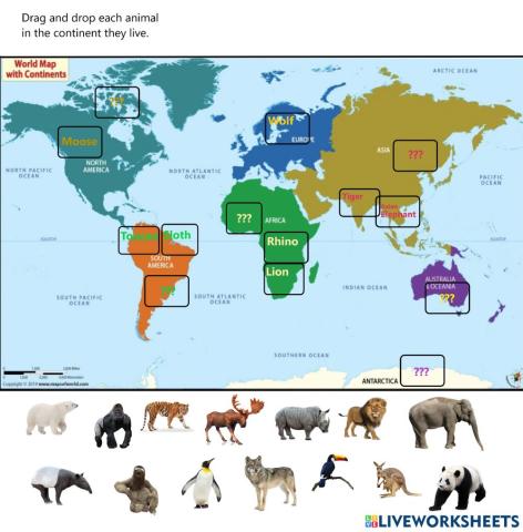 Animal Continents