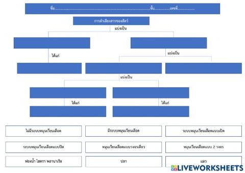 ระบบลำเลียงสารของสัตว์