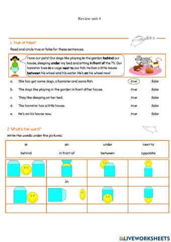 Review unit 4.1 globle 2