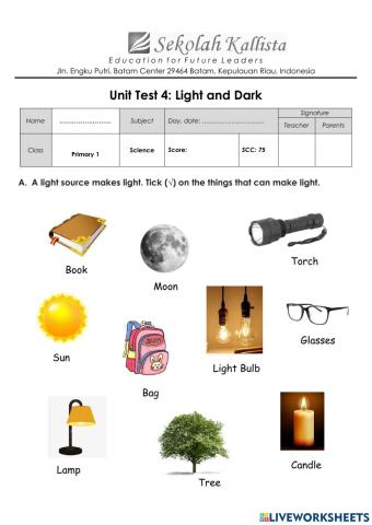 Unit Test 4-Light and Dark Primary 1