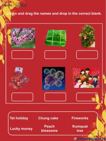 Moon-Worksheet about Tet holiday