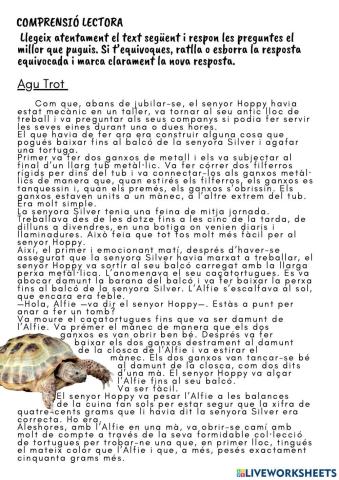 Comprensió 5è competèsncies bàsiques