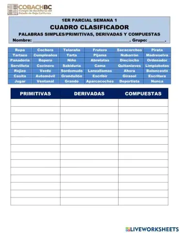 Actividad 1. Semana 1. Parcial 1.