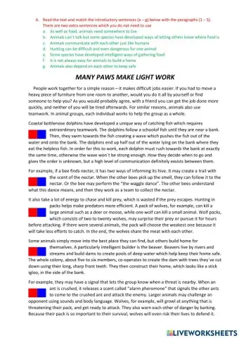 Animals and teamwork